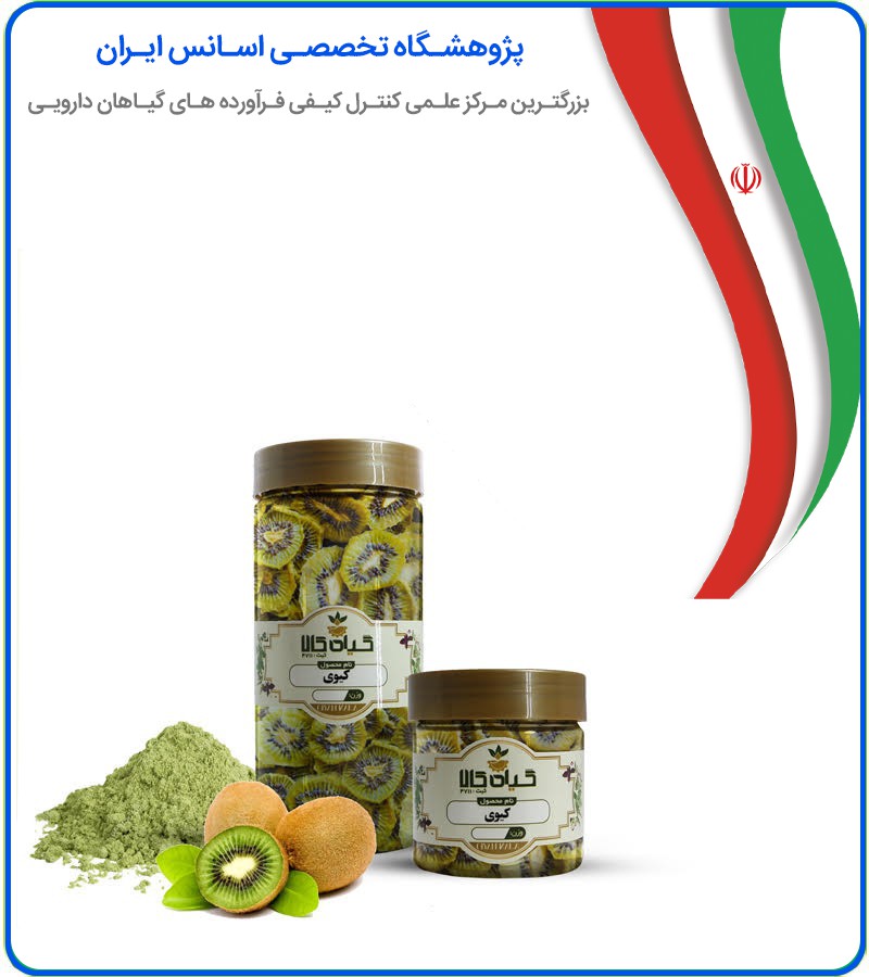تصویر میوه کیوی خشک یا پودری بسته بندی 